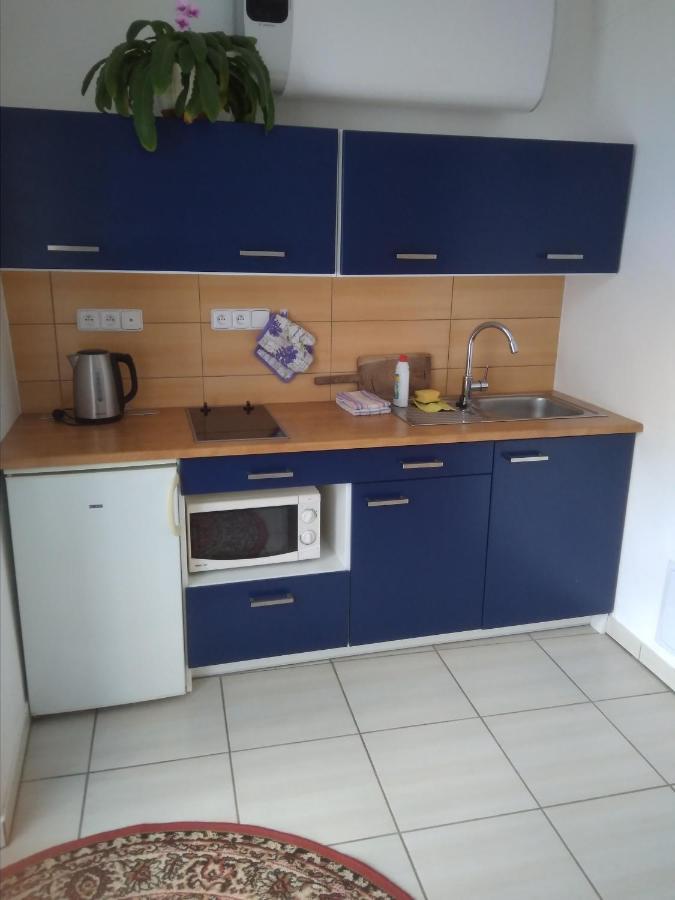 Dvur V Borovne Apartman Borovná Kültér fotó